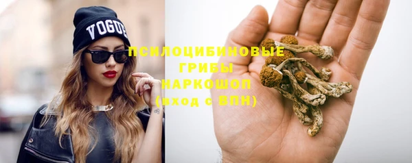 шишки Алексеевка
