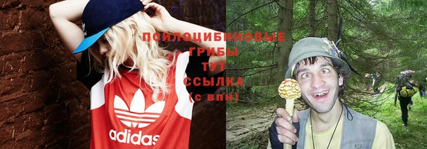 шишки Алексеевка