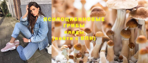 хмурый Пролетарск