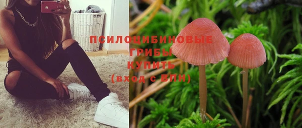 героин Алзамай