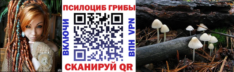 цена   Павловская  Галлюциногенные грибы MAGIC MUSHROOMS 